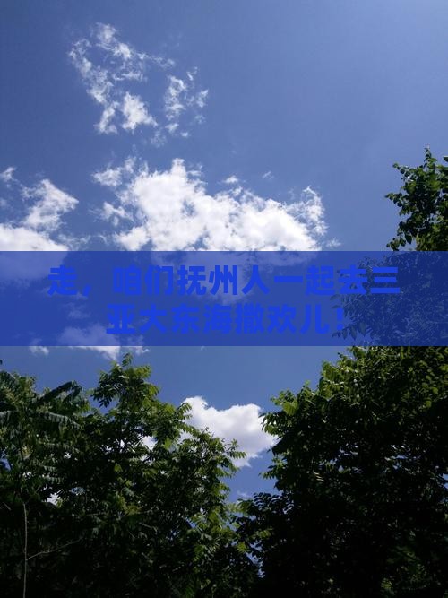 抚州前往三亚大东海团体旅游