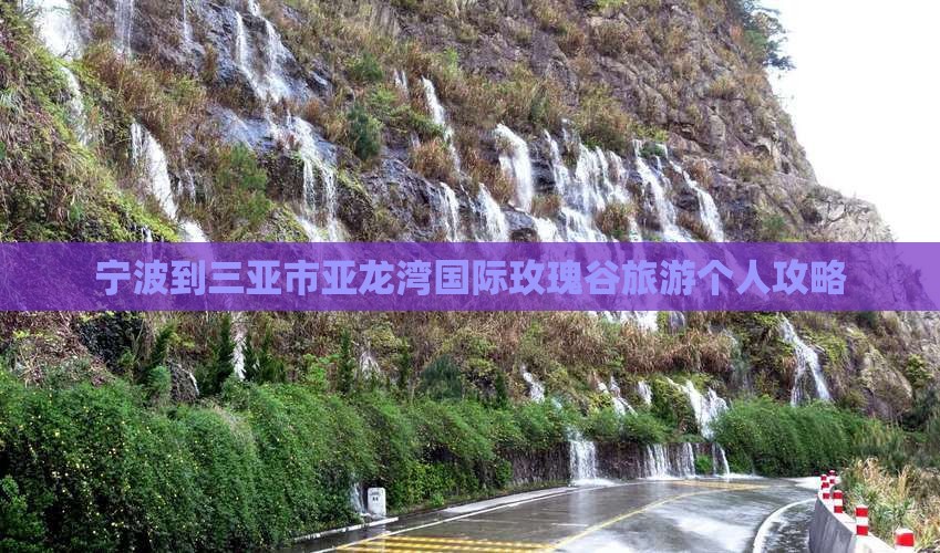 宁波去三亚亚龙湾国际玫瑰谷个人游