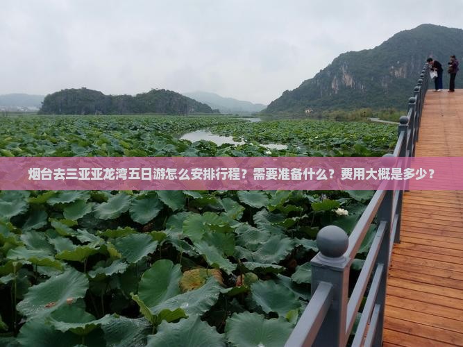 烟台去三亚亚龙湾五日游 烟台去三亚亚龙湾五日游