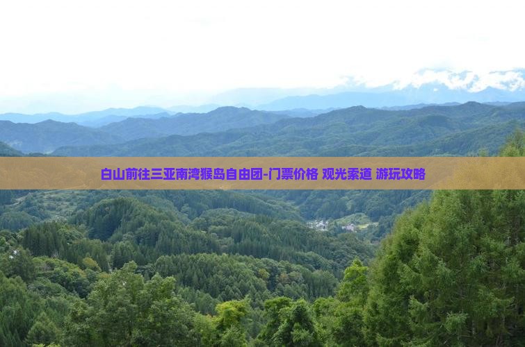 白山前往三亚南湾猴岛自由团