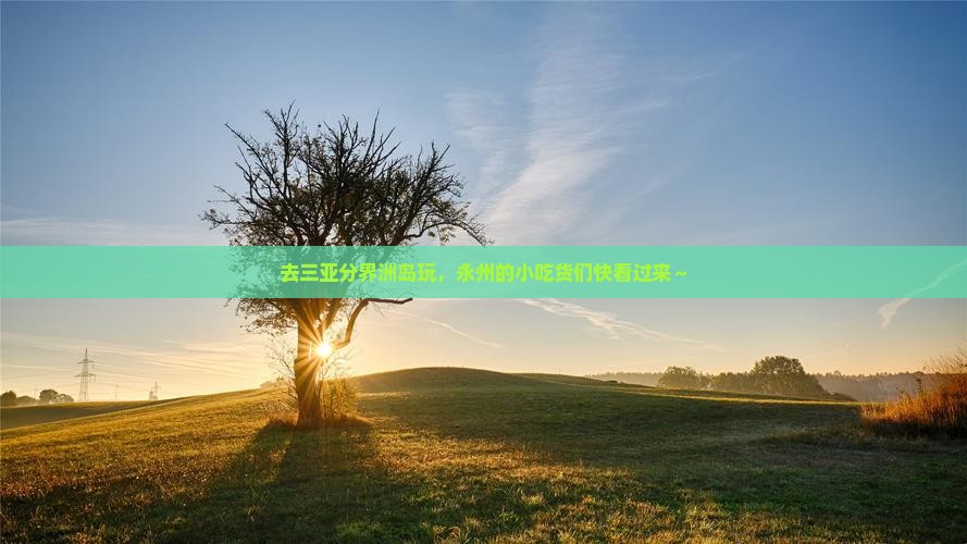 永州前往三亚分界洲岛旅游小吃