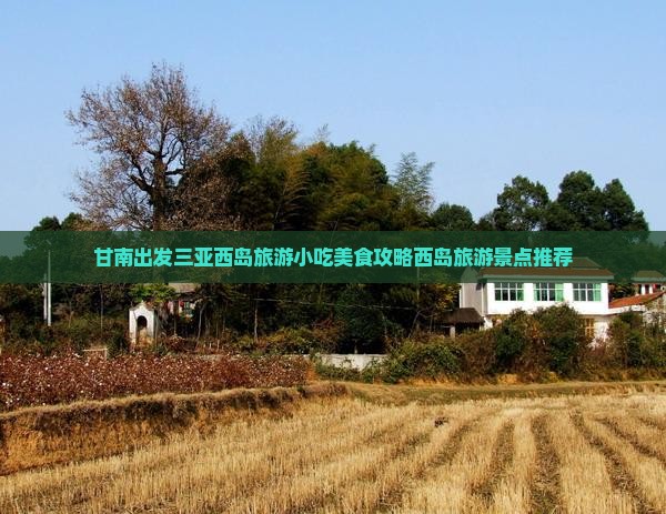 甘南出发三亚西岛旅游小吃