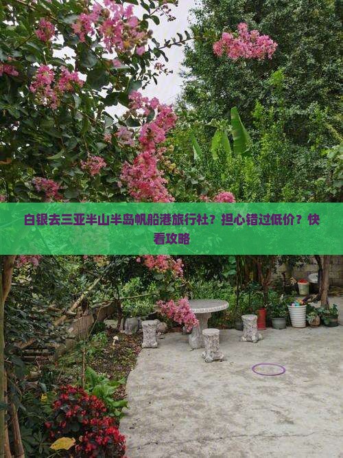 白银前往三亚半山半岛帆船港旅行社