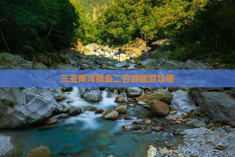 南充前往三亚南湾猴岛二日游