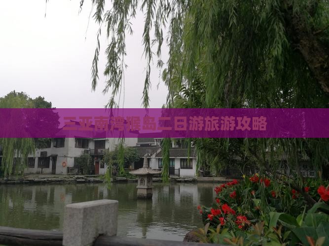 南充前往三亚南湾猴岛二日游
