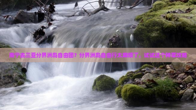 南宁去三亚分界洲岛自由团