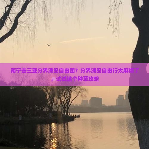 南宁去三亚分界洲岛自由团