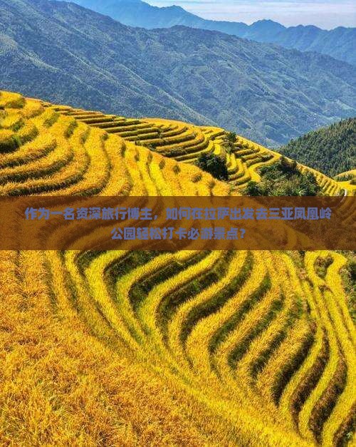 拉萨前往三亚凤凰岭公园旅游打卡点