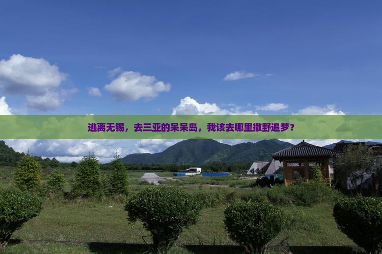 无锡去三亚呆呆岛哪里玩