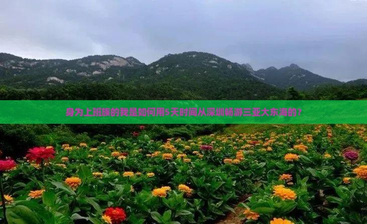 深圳出发三亚大东海个人游