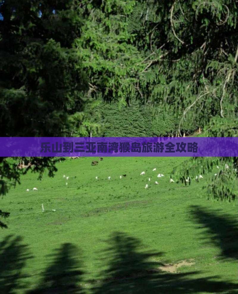 乐山去三亚南湾猴岛旅游