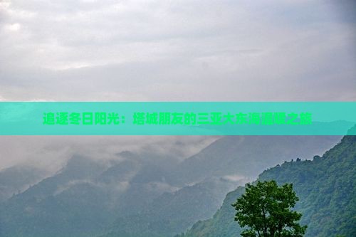 塔城前往三亚大东海个人游