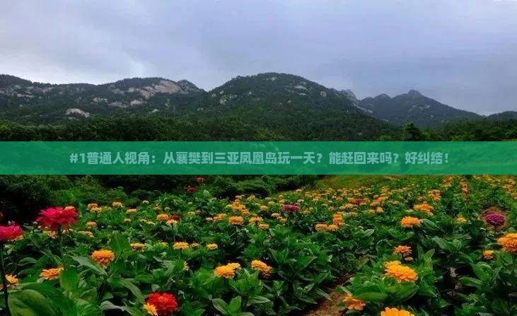 襄樊出发三亚凤凰岛一日游