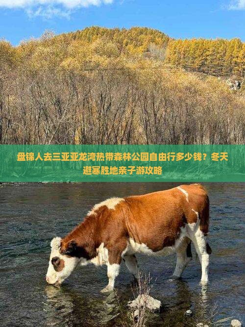 盘锦前往三亚亚龙湾热带森林公园自由行