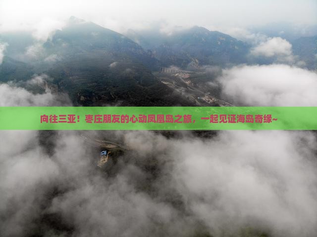 枣庄去三亚凤凰岛旅游