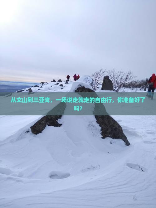 文山出发三亚三亚湾自由团