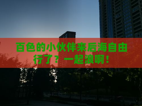 百色去三亚后海自由团