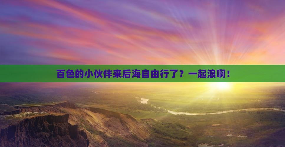 百色去三亚后海自由团