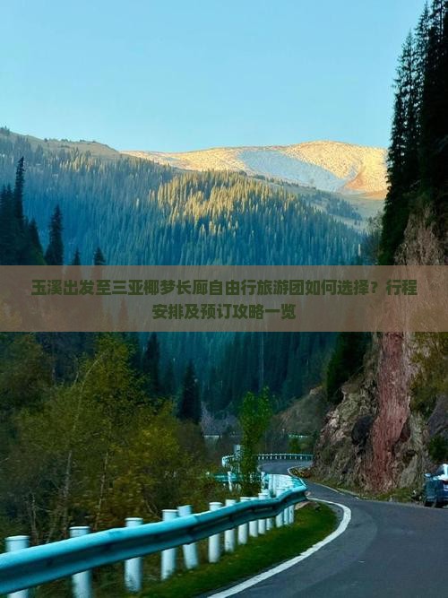 玉溪去三亚椰梦长廊自由团