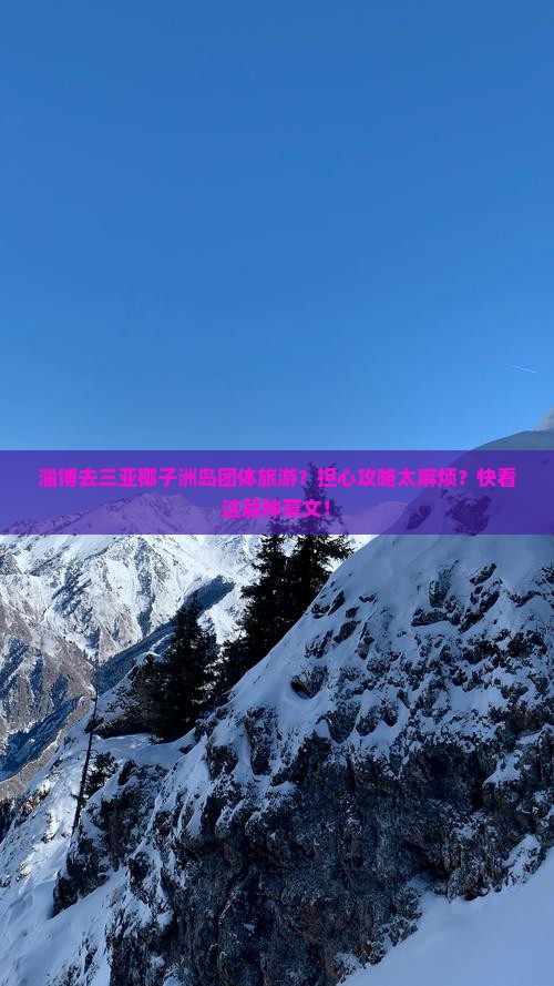 淄博前往三亚椰子洲岛团体旅游