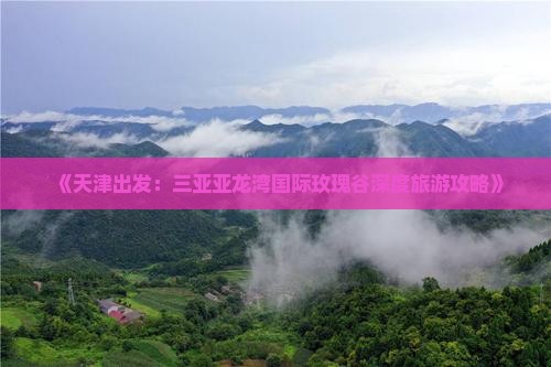 天津去三亚亚龙湾国际玫瑰谷二日游