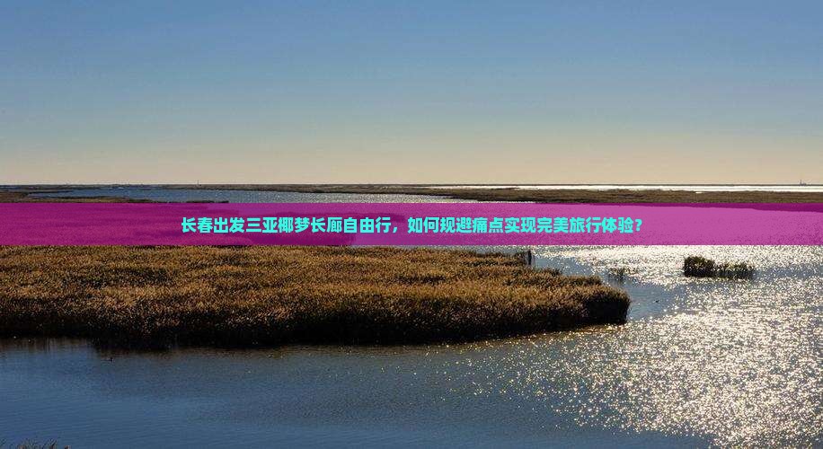 长春出发三亚椰梦长廊自由行 长春出发三亚椰梦长廊自由行