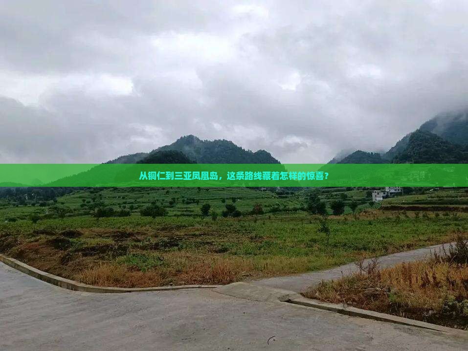 铜仁去三亚凤凰岛攻略