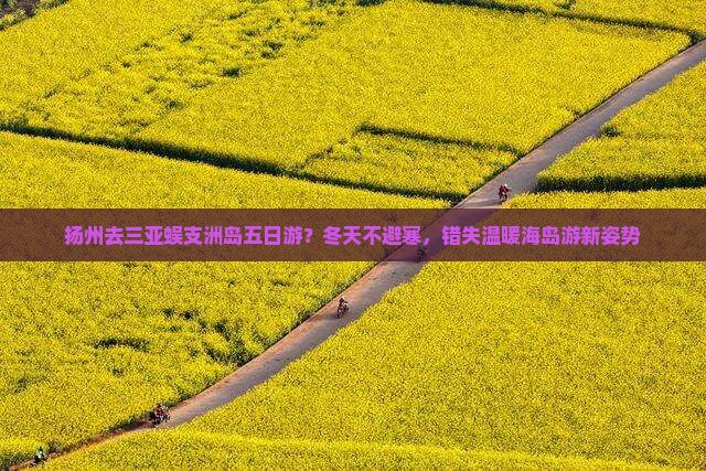 扬州去三亚蜈支洲岛五日游