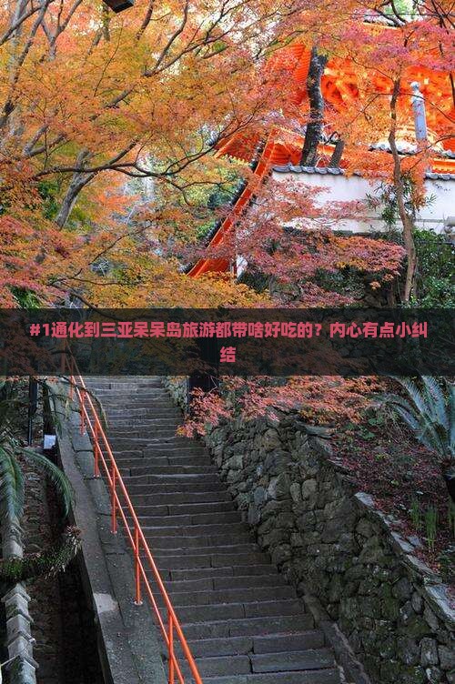通化出发三亚呆呆岛旅游小吃