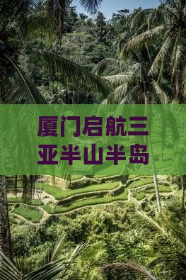 厦门出发三亚半山半岛帆船港二日游