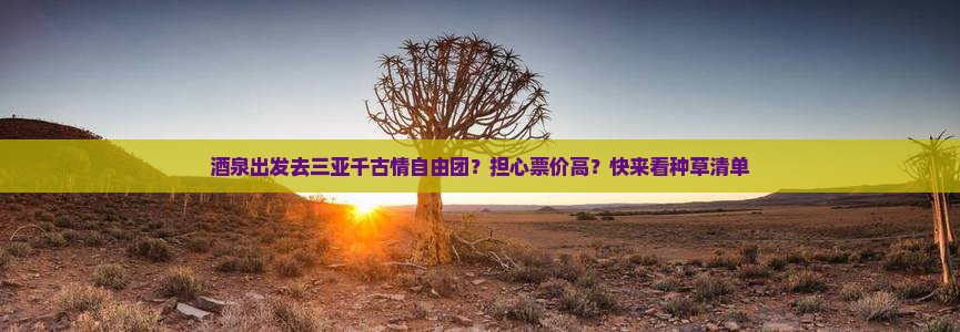 酒泉出发三亚千古情自由团