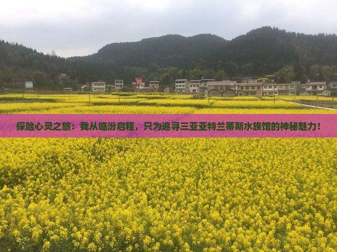 临汾前往三亚亚特兰蒂斯水族馆个人游