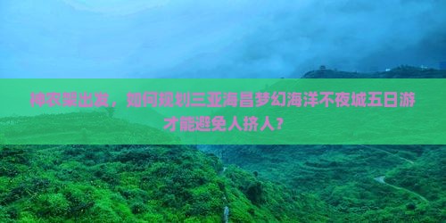 神农架出发三亚海昌梦幻海洋不夜城五日游