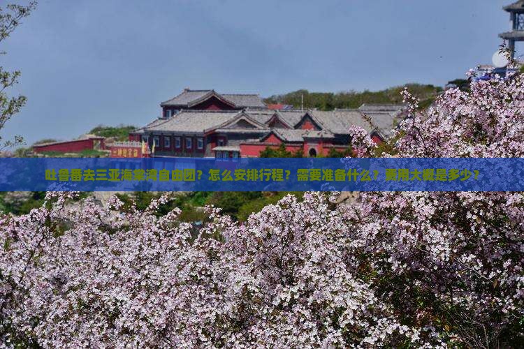 吐鲁番去三亚海棠湾自由团 吐鲁番去三亚海棠湾自由团