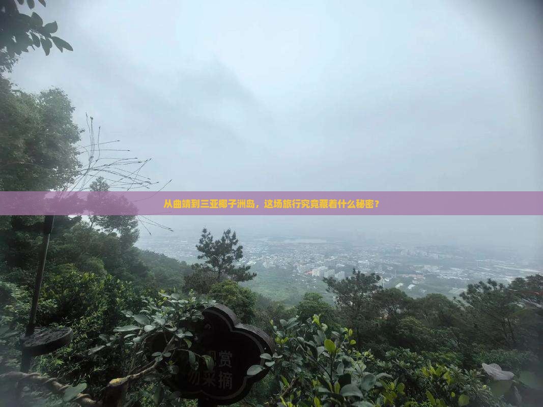 曲靖出发三亚椰子洲岛大型旅游团