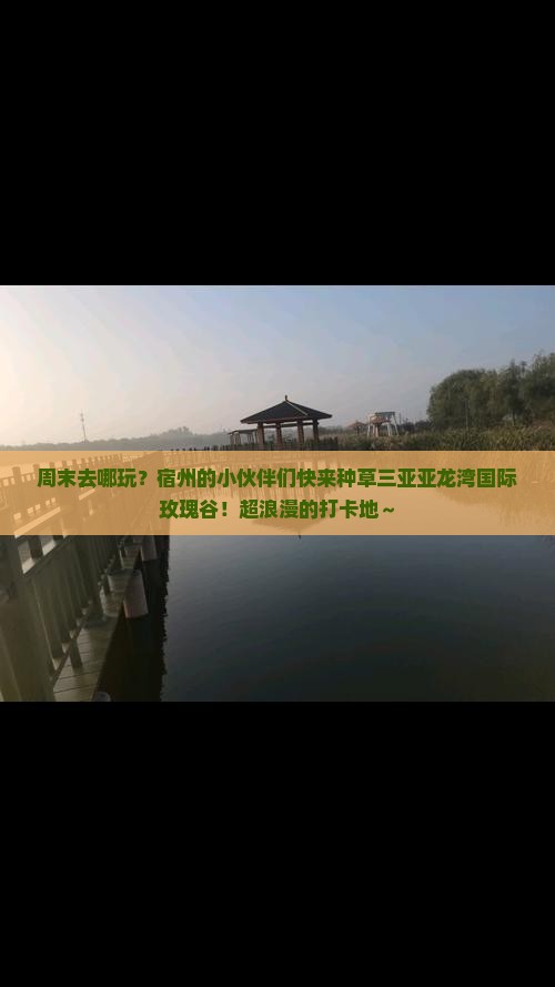 宿州去三亚亚龙湾国际玫瑰谷必玩地