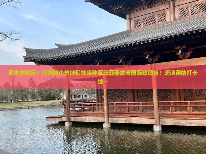 宿州去三亚亚龙湾国际玫瑰谷必玩地