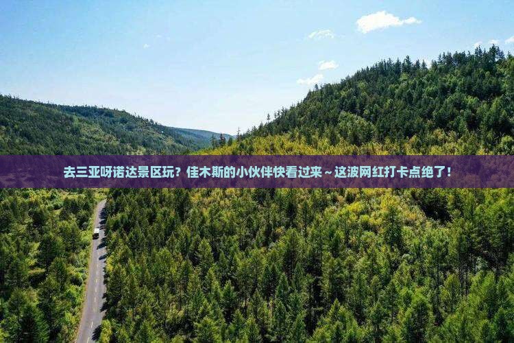 佳木斯去三亚呀诺达景区旅游网红地点
