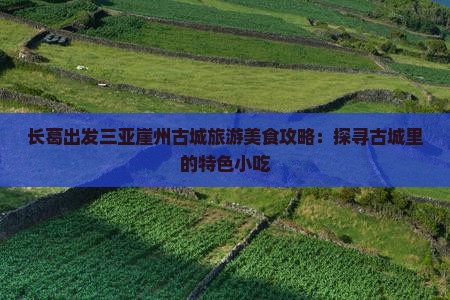 长葛出发三亚崖洲古城旅游小吃