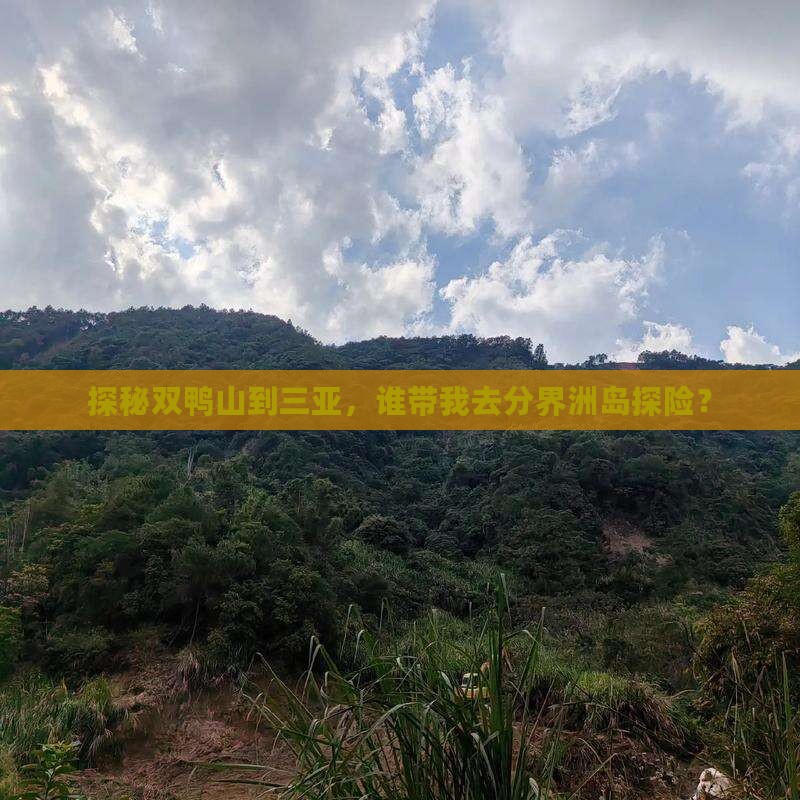 双鸭山前往三亚分界洲岛旅行社