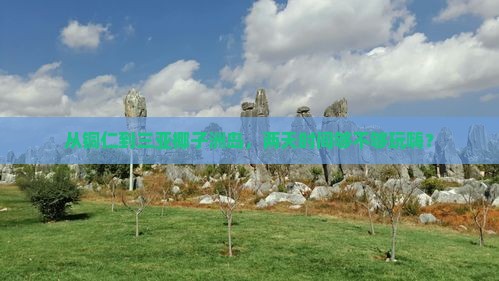 铜仁出发三亚椰子洲岛二日游