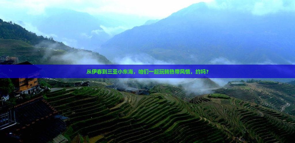 伊春去三亚小东海团体旅游