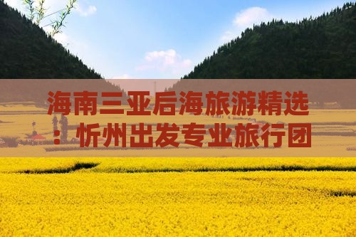 忻州前往三亚后海旅行社