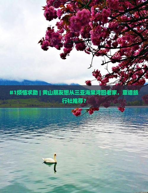 黄山去三亚海棠湾旅行社