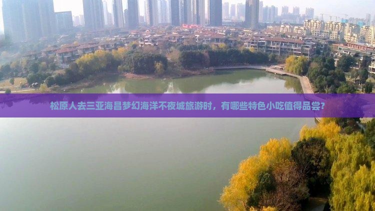 松原前往三亚海昌梦幻海洋不夜城旅游小吃