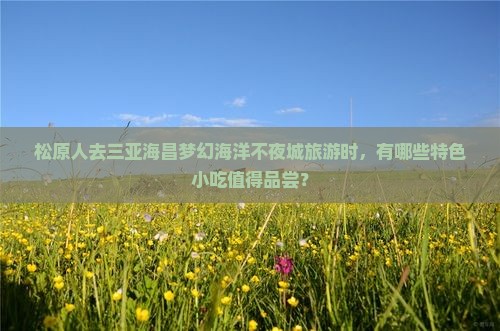 松原前往三亚海昌梦幻海洋不夜城旅游小吃