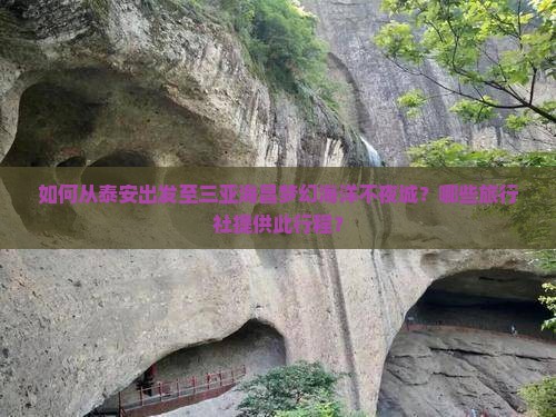 泰安去三亚海昌梦幻海洋不夜城旅行社