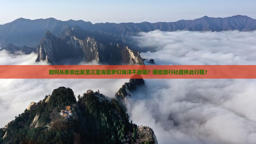 泰安去三亚海昌梦幻海洋不夜城旅行社