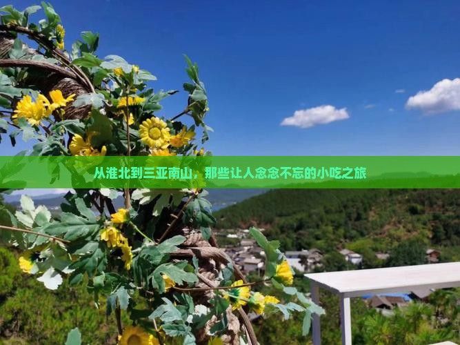 淮北出发三亚南山文化旅游区旅游小吃