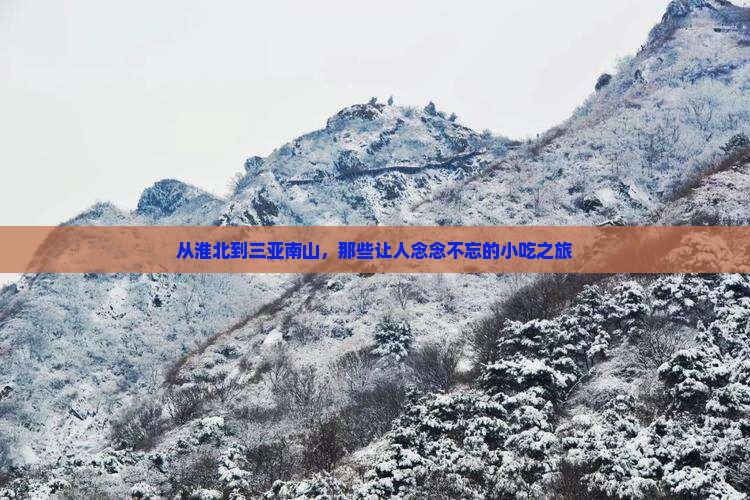 淮北出发三亚南山文化旅游区旅游小吃